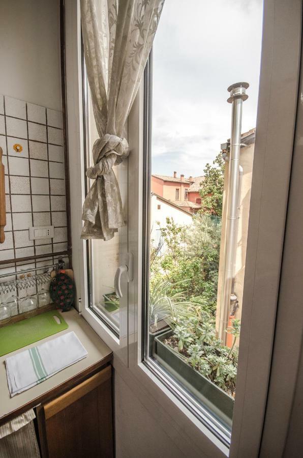 Sigismondo Apartment 博洛尼亚 外观 照片